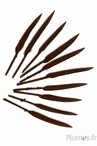 Gans - 5-8 cm - koffie